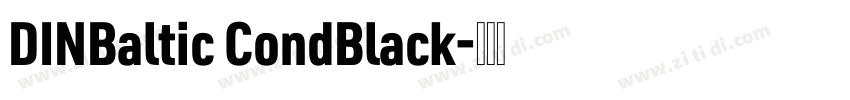 DINBaltic CondBlack字体转换